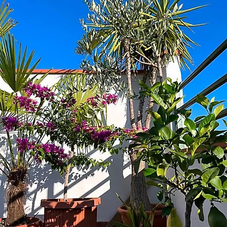 Hotel Zucconi 3*
